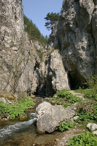 Prosiecka dolina. Zdroj: hiking.sk